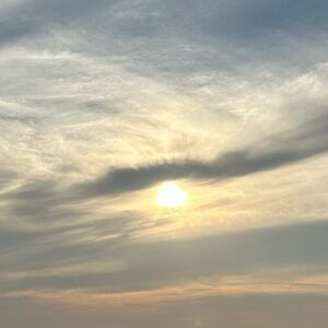 Meet your Posher, April